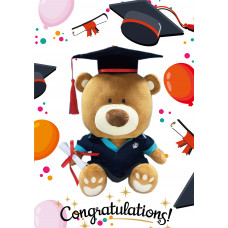 Graduation Teddy Bear
